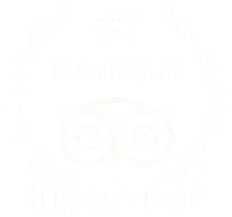 Altezza Travel, número 1 en Tripadvisor Altezza Travel, número 1 en Tripadvisor