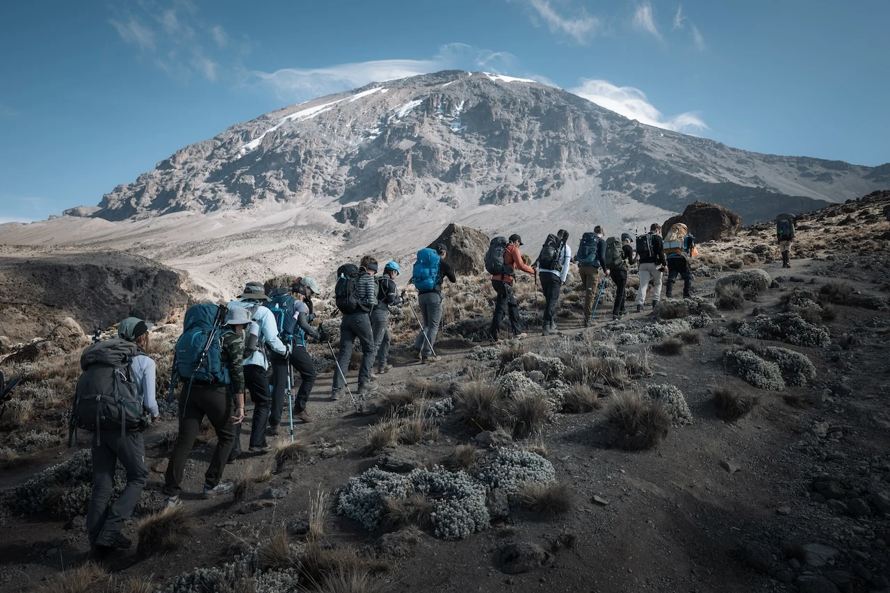 Montañeros de Altezza en un viaje compartido al Kilimanjaro
