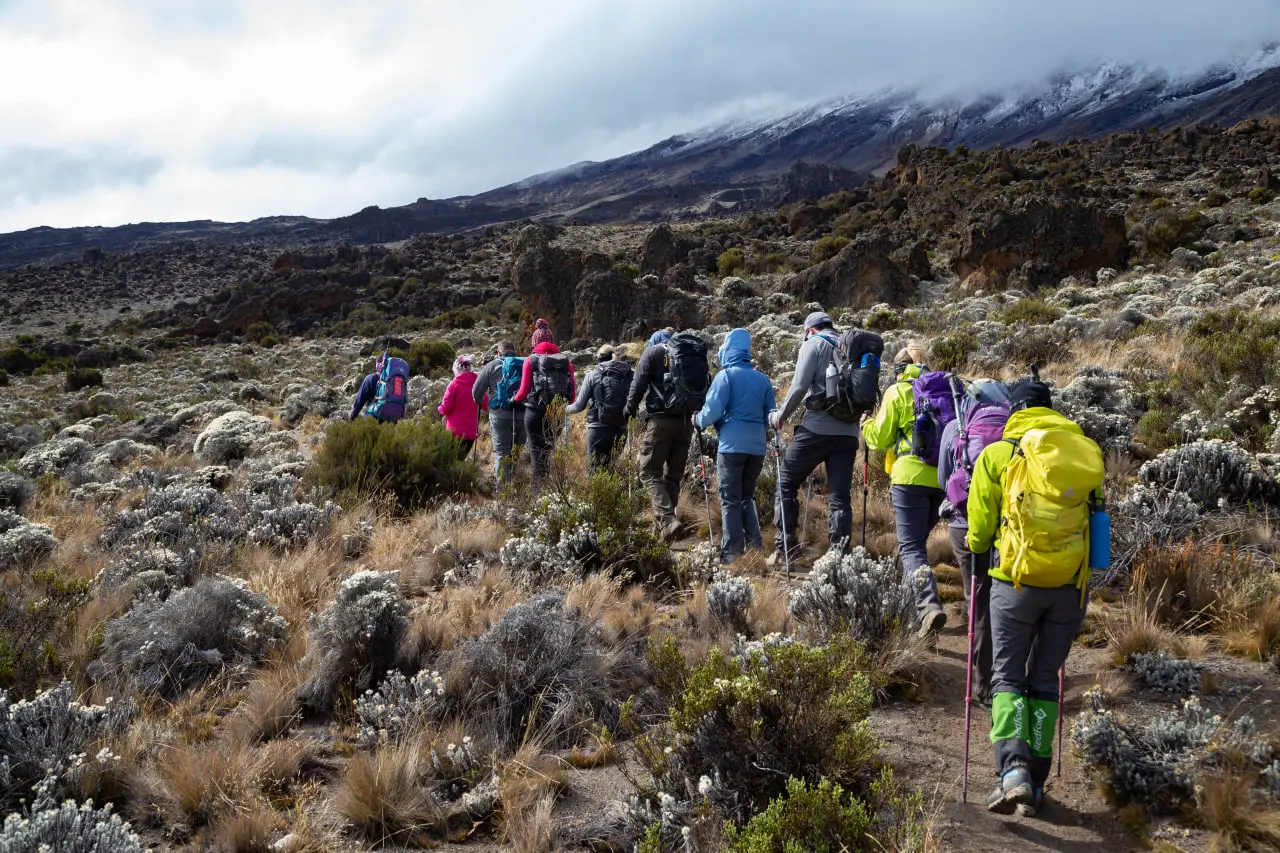 Un grupo en la ruta Northern Circuit. Expedición de Altezza Travel