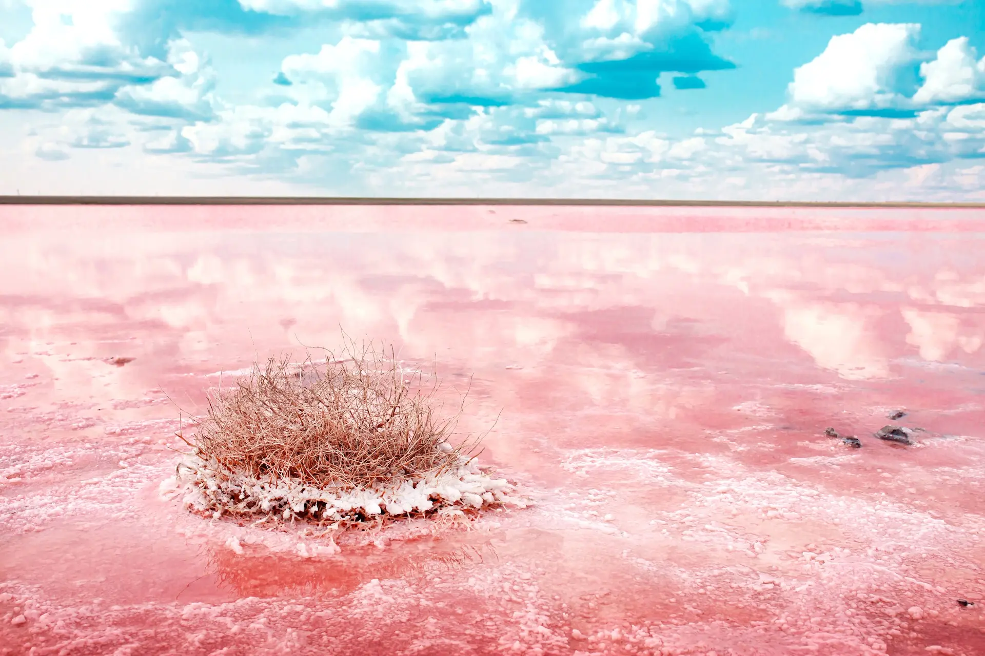En la estación seca, el lago se vuelve rojo y queda cubierto de sal. Foto: Vera Larina / Shutterstock