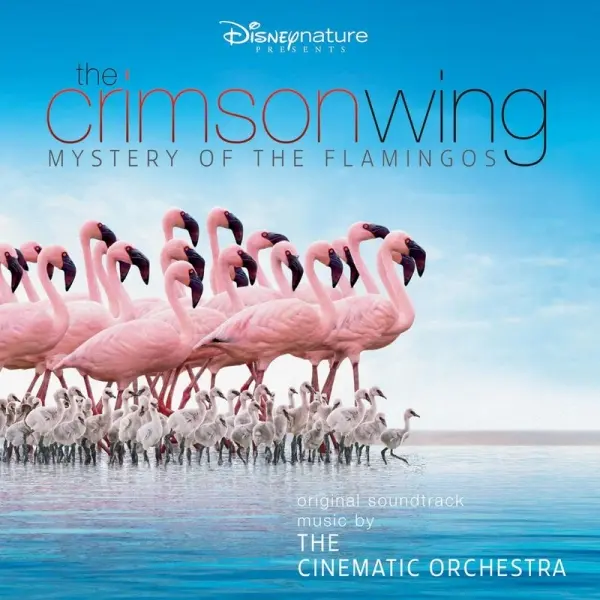 Portada del documental «The Crimson Wing: Mystery of the Flamingos»