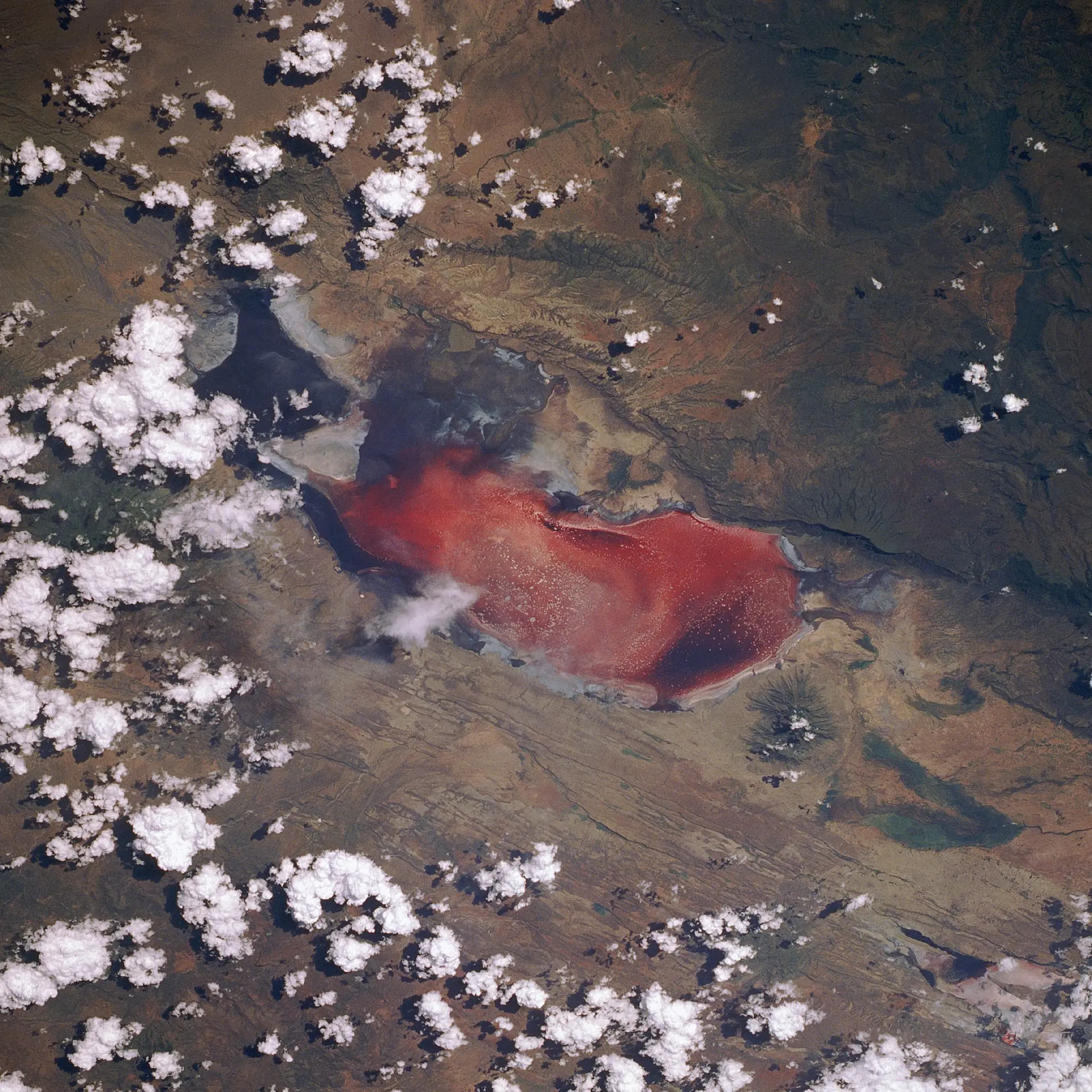 El lago Natron, a veces llamado «el lago rojo mortal», visto desde el transbordador espacial Discovery durante la misión STS-29. Foto: NASA