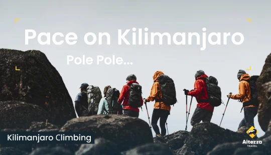 Encontrar tu ritmo en el Kilimanjaro | Altezza Travel
