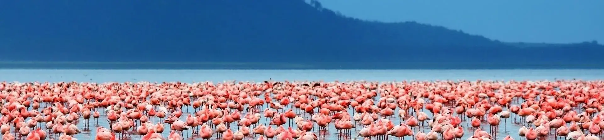 lago Manyara