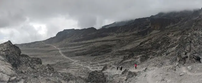 Ruta Lemosho - Día 4 - Trekking desde el campamento Shira 2 hasta Torre de Lava y descenso al campamento Barranco