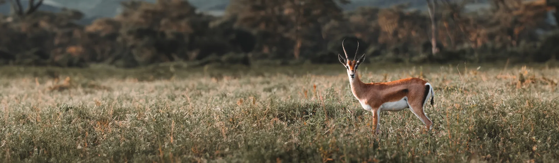 Rancho Ndarakwai Rancho Ndarakwai