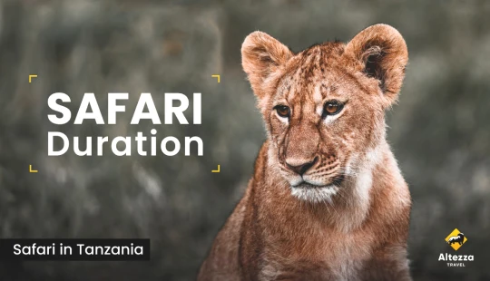 Planificar un safari: ¿cuántos días necesitas?