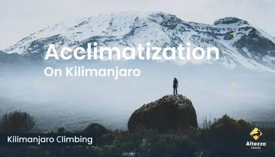 Aclimatación en el Kilimanjaro | Altezza Travel
