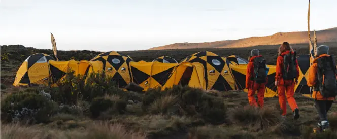 Ruta Lemosho - Día 3 - Trekking desde el campamento Shira 1 hasta el campamento Shira 2