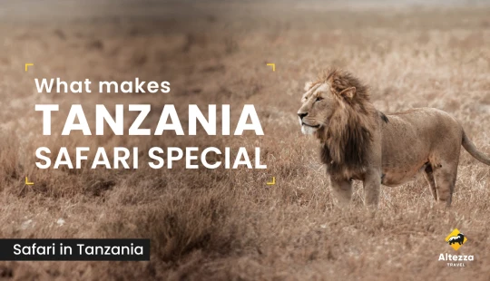 Qué hace especial a un safari en Tanzania
