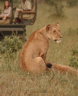 Parque Nacional del Serengeti