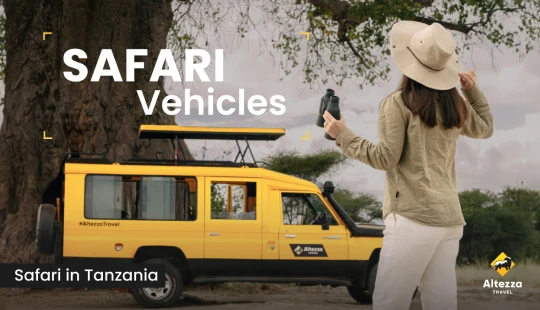 Lo esencial en un buen vehículo de safari