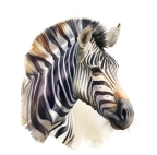 Cebra